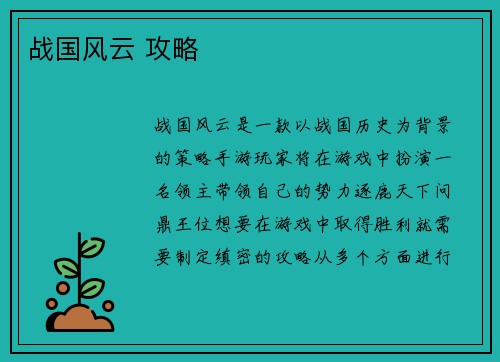 战国风云 攻略